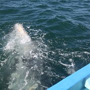 IMG 0001 2 (307)